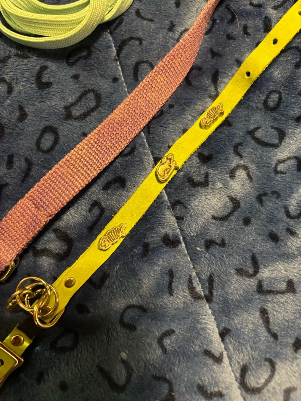 Lot of cat accessories